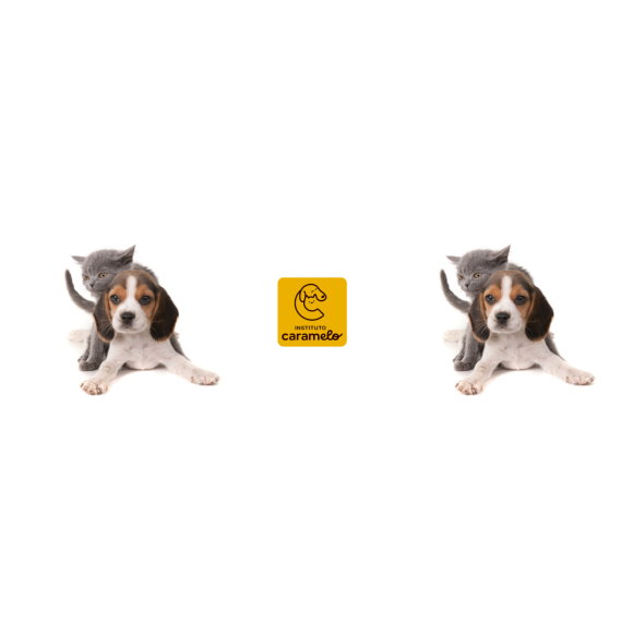 https://emiprodutosorientais.futurasistemas.com.br/image/cache/data/eftr/Img_ftr_rp_217301-580x580.PNG
